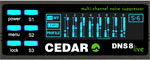 CEDAR DNS 8 CEDAR DNS 8